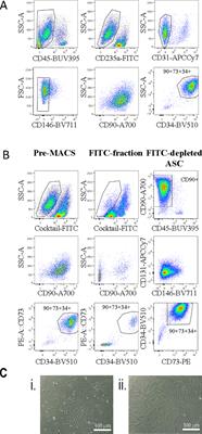 Ex Vivo Human Adipose Tissue Derived Mesenchymal Stromal Cells (ASC) Are a Heterogeneous Population That Demonstrate Rapid Culture-Induced Changes